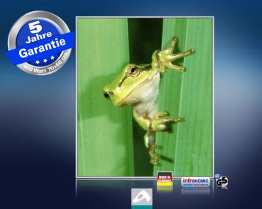 Infrarot Bildheizung 400 Watt 70x60 M10-SL Frosch